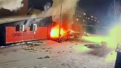 Фото: скриншот